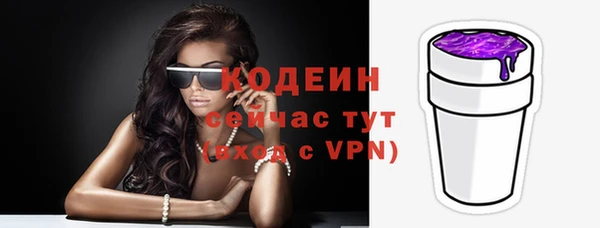 мет Новозыбков