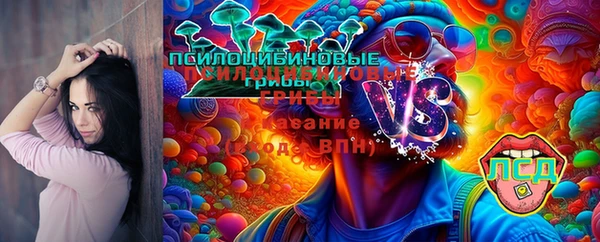 мет Новозыбков