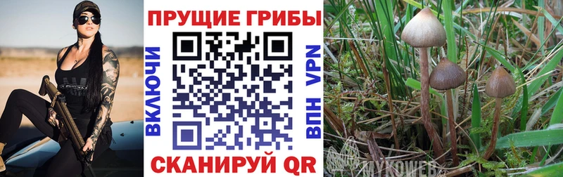 мориарти наркотические препараты  Бахчисарай  Псилоцибиновые грибы ЛСД 