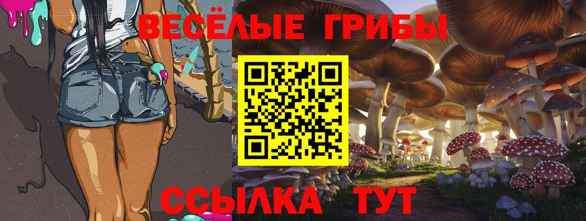 Бахчисарай  Псилоцибиновые грибы ЛСД  Вход с VPN 
