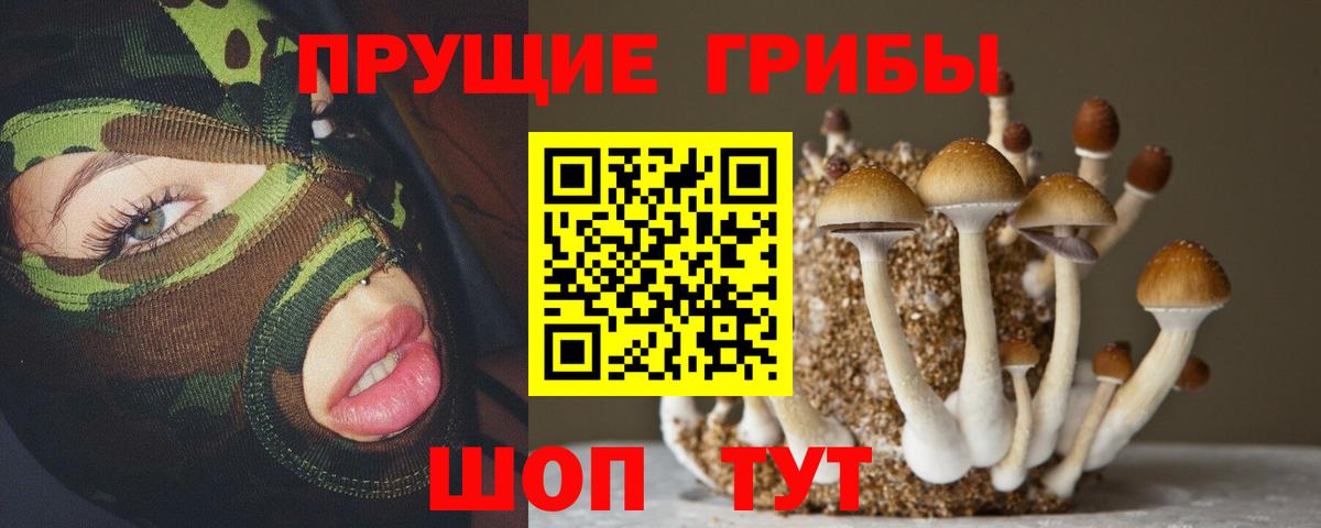 Псилоцибиновые грибы прущие грибы Бахчисарай